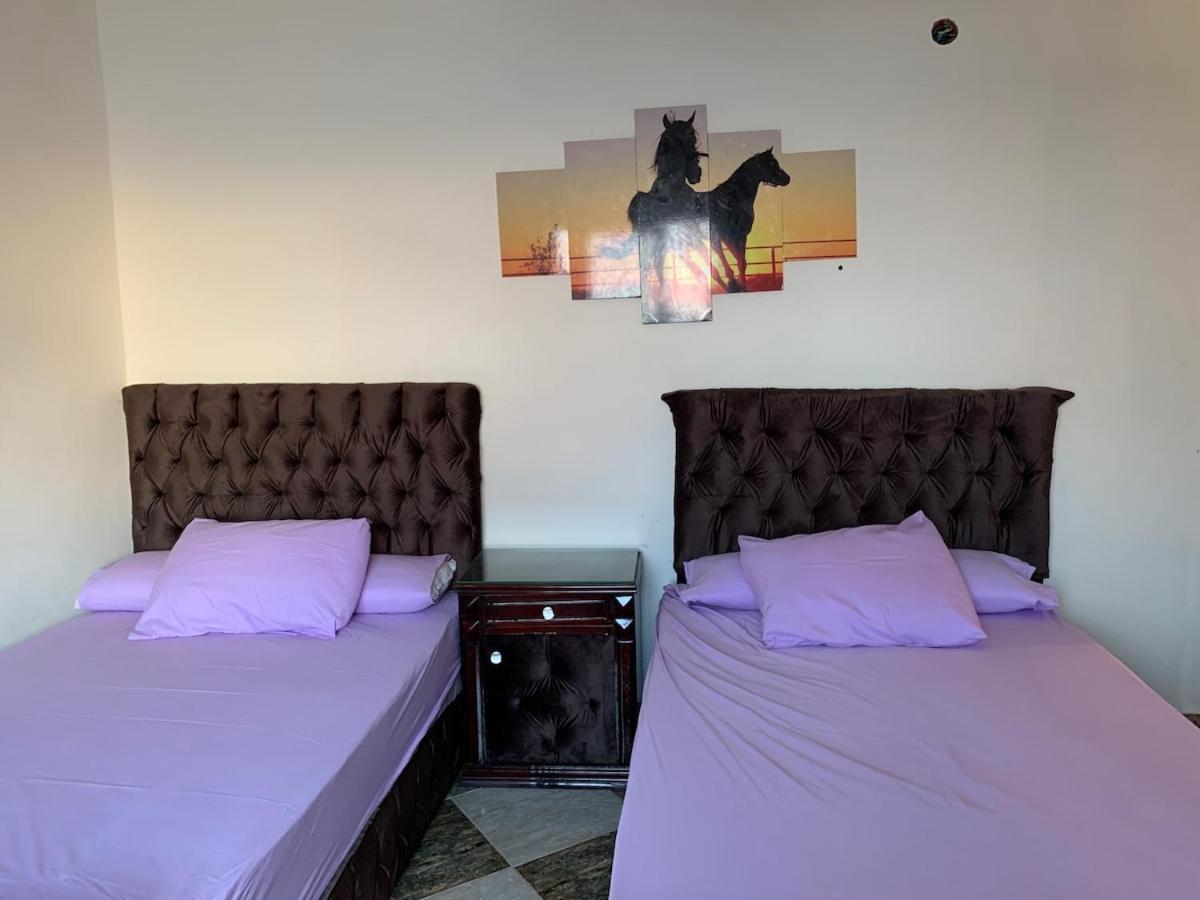 Sea View For Rent Sidi Beshr For Families Apartment Alexandria
